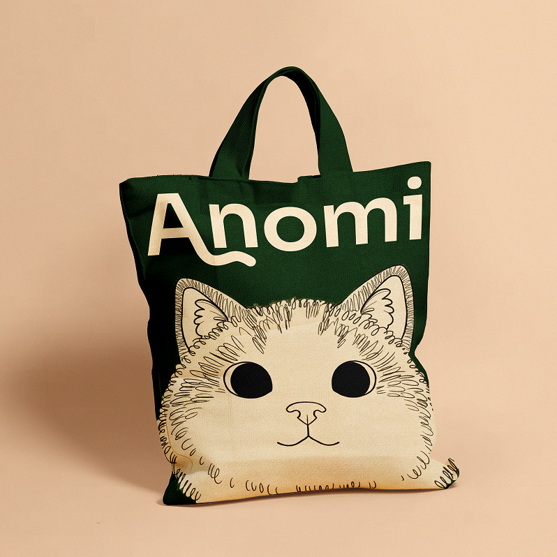 Anomi project image 13