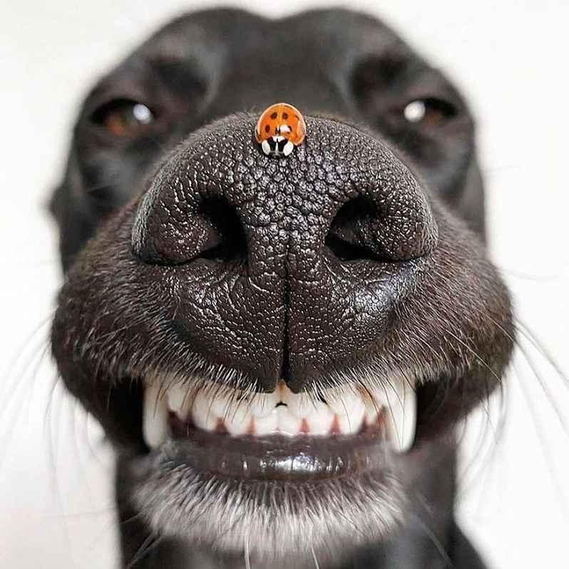 Anomi project image 3